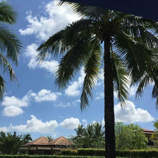 Property image - gallery 38