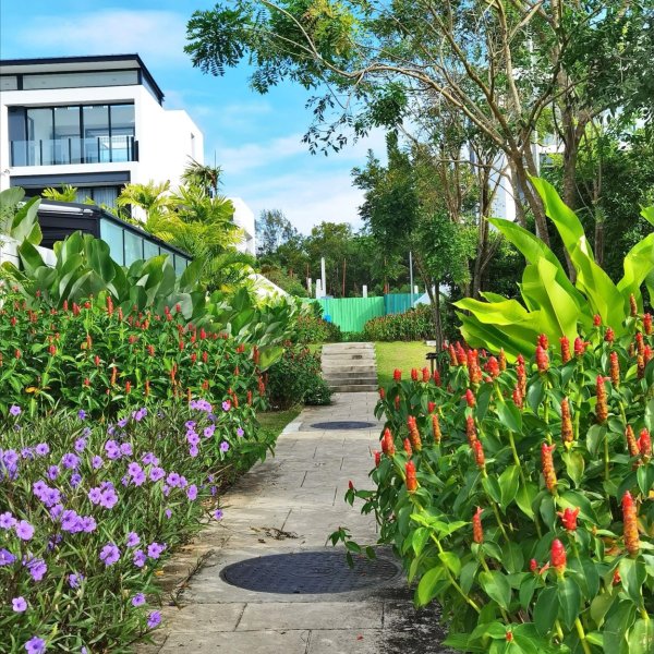 Property image - gallery 26