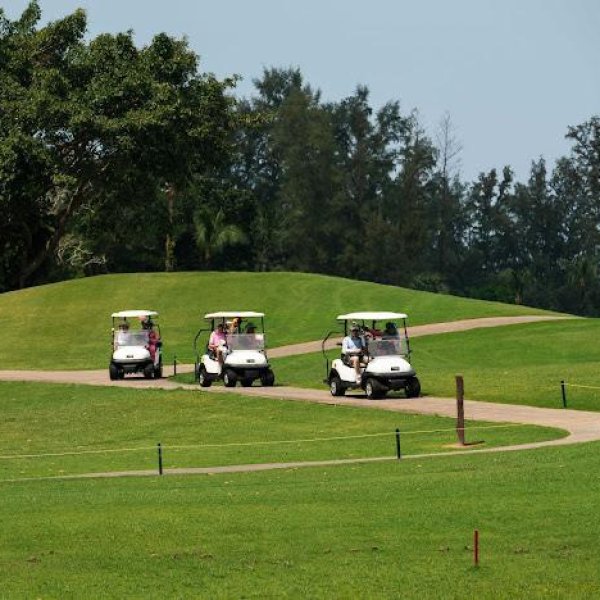 Property image - gallery 74