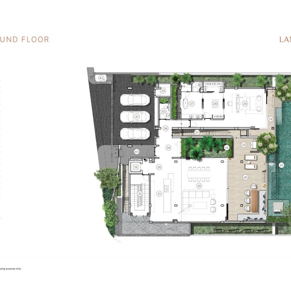 Floor Plan 6